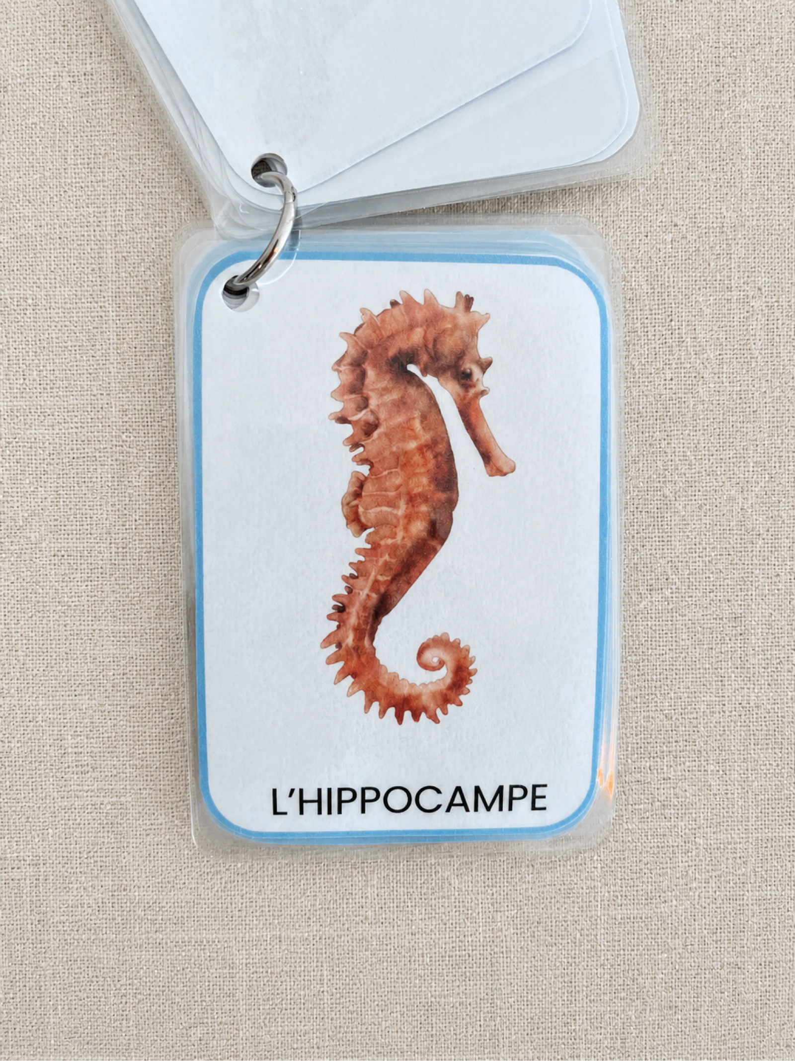 Mon imagier des animaux marins  – photo 2